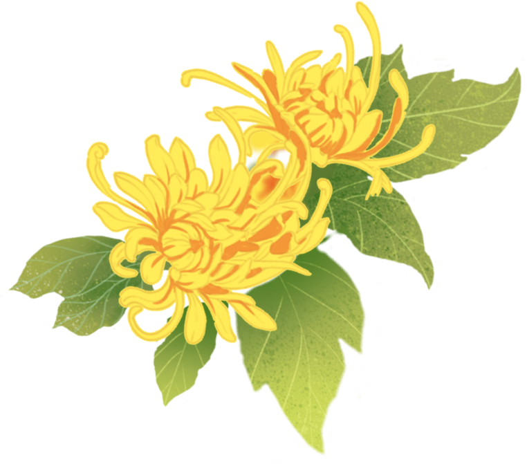 1系铝板哪里买（推荐源头工厂济南中福）